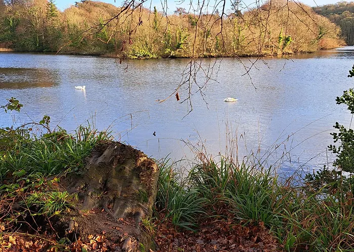 203 Harbour Mill アパート ウェストポート