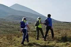 203 Harbour Mill ウェストポート